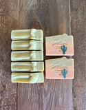 Image shows group of soap with little green cactus inside.